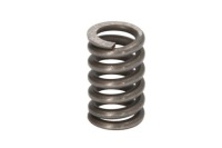 фото thumb №1, Пружина c.e.i 156225