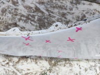 фото thumb №14, Крыло передний перед левый ford s-max mk2 15-