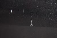 фото thumb №9, Дверь правое перед передние чёрные seat leon 2 ii 05-09