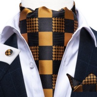 Мужской комплект жаккардовых шалей Ascot, запонки POCKET CHECK, доставка24