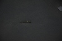 фото thumb №8, Капот кришка двигуна opel insignia a