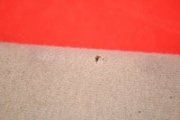 фото thumb №4, Захист сонцезахисна chrysler pacifica 1 i 03-08