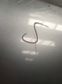 фото thumb №4, Opel vectra c lift z157 капот