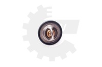 фото thumb №1, Esen skv 20skv047 термостат, жидкость охлаждающий