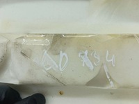 фото thumb №6, Audi q7 4l 2006 права сторона сидіння задні третього rzędu