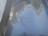 фото thumb №13, Крыло chevrolet silverado 1500 iv 18- левый перед