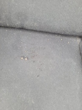 фото thumb №7, Сиденья диван спинка ремни клипсы renault clio iv hb