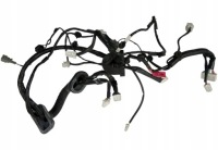 фото thumb №1, Жгут электропроводка дверь maserati granturismo