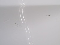 фото thumb №12, Ford transit custom i 12-23 дверь сдвижные левая полный стекло