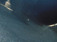 фото thumb №8, Капот крышка двигателя seat ibiza iii 6l lift цвет ls7y