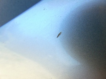 фото thumb №7, Капот крышка двигателя audi q7 4l цвет ly7w