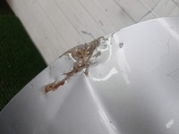 фото thumb №5, Mazda 6 gj 13-18 двері передні ліва перед оригінальний номер