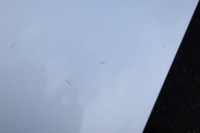 фото thumb №7, Audi a8 d3 lift капот кришка двигуна lx7w