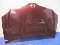 фото thumb №1, Almera tino lift капот кришка перед bordowa ax5