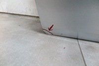 фото thumb №3, Дверь левый перед передние левая opel corsa f