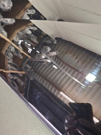 фото thumb №8, Дверь hyundai kona ii 2 2022- левая перед передние