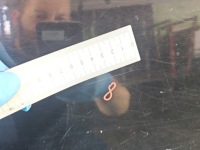 фото thumb №10, Двері задня ліва toyota rav4 iii 05- hb 5d чорний 202