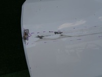 фото thumb №6, Mercedes w213 213 e-klasa дверь левая передние