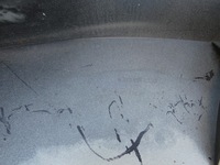 фото thumb №13, Решітка радіатора, бампер mercedes e-klasa w213 avantgarde