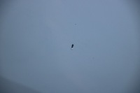 фото thumb №10, Bmw ix i20 lci бампер передній перед m-pakiet pdc джгут kompletny c7a usa