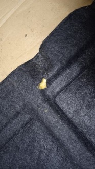 фото thumb №7, Peugeot 207 i hb 5d полка багажника