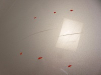 Купити Капот bmw 3 e46 рестайлінг  titansilber металік 354/7, фото thumb