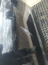 фото thumb №9, Opel zafira b двері перед правий z20r 5d