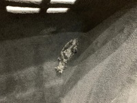 фото thumb №6, Bmw 4 g26 обшивки оббивка плита багажника комплект 9871079