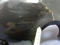 фото thumb №9, Bmw 4 g22 g23 накладка диффузор бампер задняя m набор 8075839