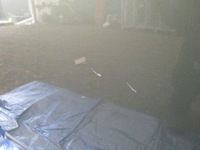 фото thumb №6, Дверь задняя задние левая subaru forester v sk цвет sbc полный