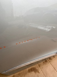 фото thumb №10, Двері праве задні задня volvo xc60 08-