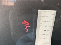 фото thumb №8, Двері перед ліва renault scenic iii lift tekng