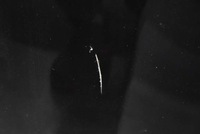 фото thumb №8, Капот кришка двигуна czarna renault laguna 3 iii 07-11