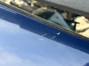 фото thumb №3, Крышка стекло багажника задняя зад dv460 renault scenic ii 2005-2009