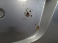 фото thumb №6, Kia picanto i lx 2005 5d крышка багажника багажника задняя задняя l6