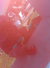 фото thumb №9, Дверь левая перед suzuki splash opel agila b