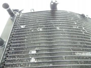 Полем Триумф скорость тройной 1050 11 + CH0 Cooler