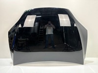 фото thumb №1, Капот крышка двигателя tesla x