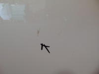 фото thumb №6, Peugeot 208 i двері задня ліва білий ewp