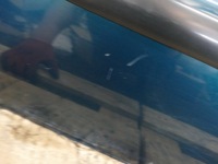 фото thumb №6, Daewoo lanos sedan двері лівий зад ліві задні