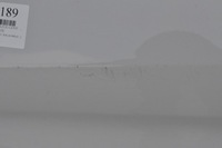 фото thumb №11, Bmw 5 g31 дверь левый перед левая передние 300