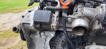фото thumb №9, Vw audi seat skoda 1.6 tdi cay двигун комплектний