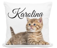 КРУЖКА-ПОДУШКА С КОШКОЙ, КОШКАМИ И ИМЕНЕМ В КАЧЕСТВЕ ПОДАРКА