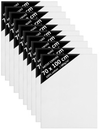 10x BLEJTRAM PODOBRAZIA 70x100 PODOBRAZIA DaVINCI 100x70 см