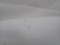 фото thumb №12, Volvo xc60 ii 2 17- капот кришка двигуна