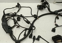 фото thumb №8, Джгут двигуна bmw m2 m3 m4 f80 f87 s55b30 s55 m-power 3.0i 7850296 7591981