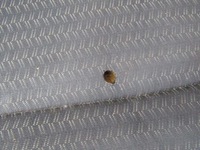 фото thumb №13, Xceed 21r сидіння водія пасажира сидіння комплект сидінь заднє сидіння