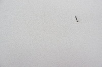 фото thumb №8, Jeep grand cherokee wk2 панорама люк