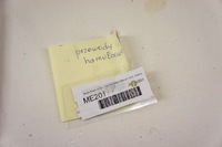 фото thumb №5, Me201 skoda scala 1.6d дроти гальмівні комплект