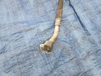 фото thumb №2, Pathfinder r51 2.5d шланг трубка кондиціонера eu